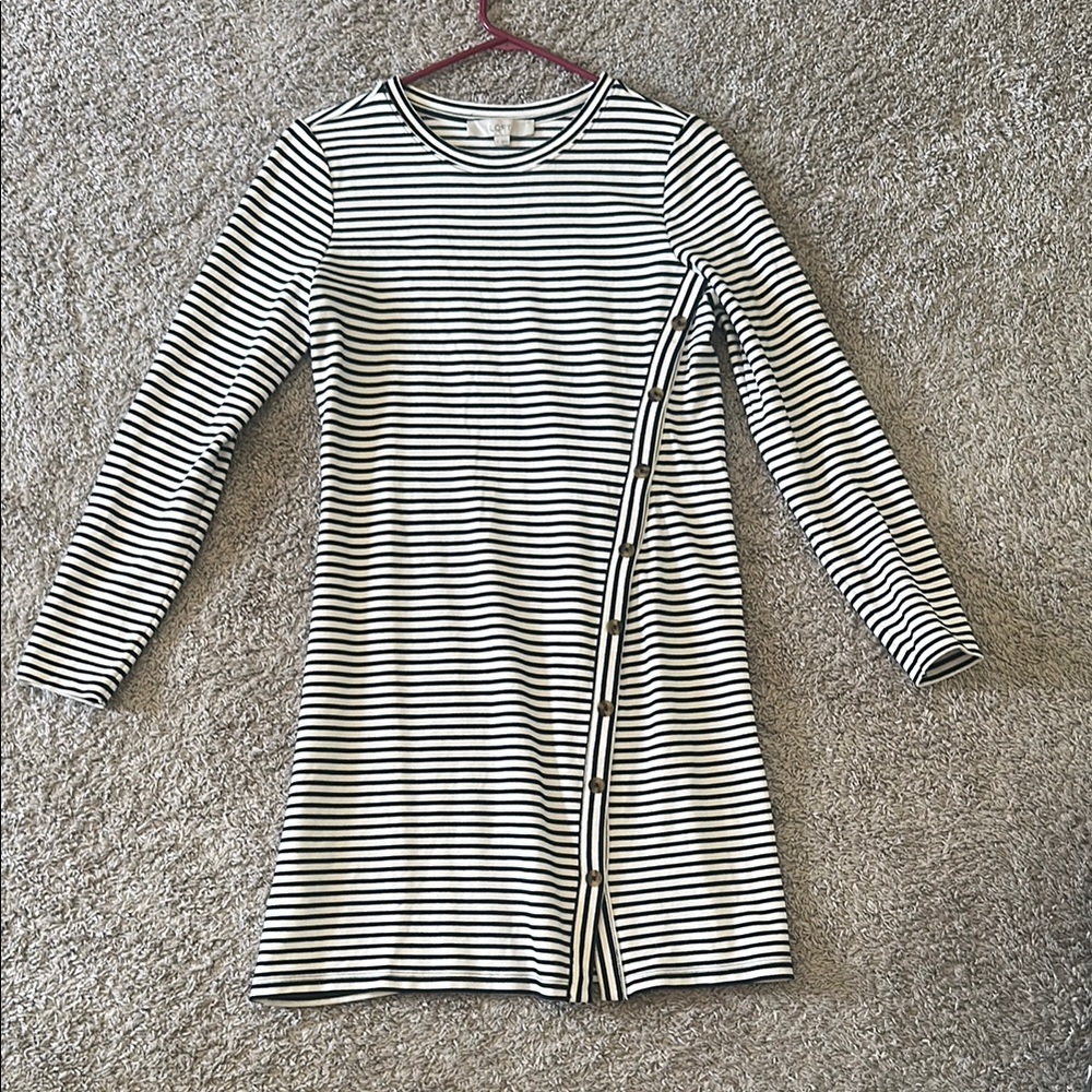 LOFT Navy and White Striped Dress with Button Detail